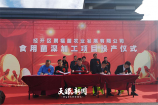 小香菇演绎致富大产业|“龙头企业+合作社+农户”助力安顺经开区食用菌发展