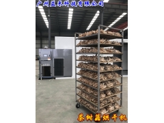 新一代茶树菇烘干机厂家专业生产图1