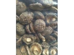 随州优元农业基地直供出口级光面菇图1