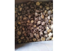 随州优元农业基地直供出口级光面菇图2