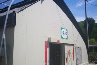 河北阜平:扶贫协作新举措 食用菌产业创增收