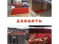 新一代枸杞烘干机价格图1