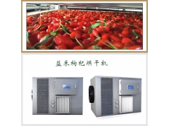新一代枸杞烘干房生产厂家图1