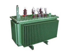 供甘肃兰州变压器和张掖电力变压器图1