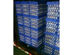 厦门豪盛塑料蛋托,鸡蛋托,山西鸡蛋托,鸭蛋托,蛋卡,厦门蛋筐图2