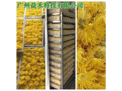 空气能金丝皇菊烘干机厂家直销图1