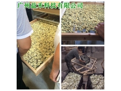 新式金丝皇菊烘干机哪种好图1