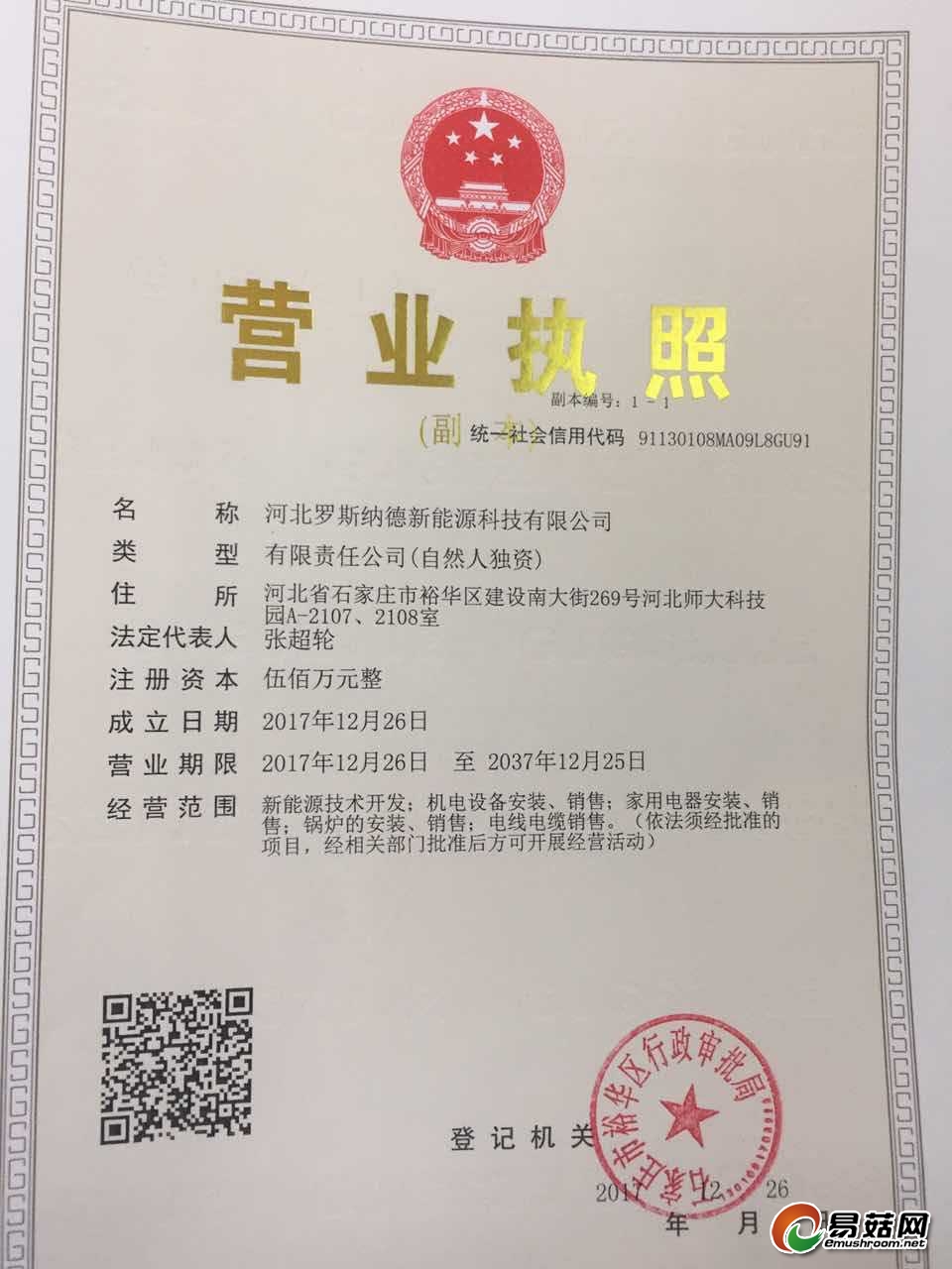 执照