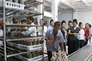 贵州剑河食用菌产业蓬勃发展促就业助增收