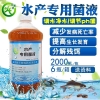 水产专用益生菌怎么购买？