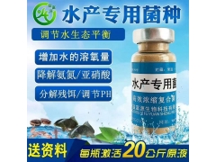 水产专用益生菌怎么购买？图2