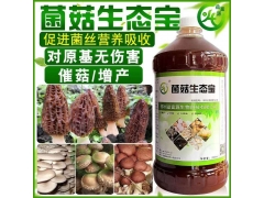 巴西菇专用的营养液什么产品效果好?