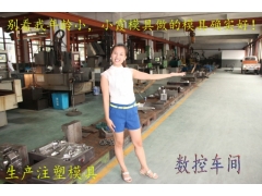 网上很多的塑胶模具供应商实力商家图3