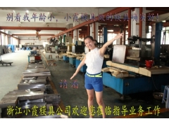 定制 模具供应商生产厂家图3