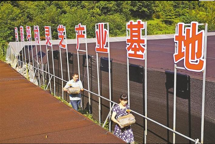 QQ截图20190801150042