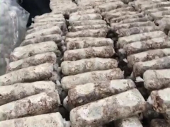 随县三里岗香菇菌棒图1