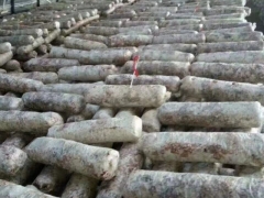 随县三里岗香菇菌棒图3