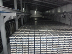 金针菇工厂化图1