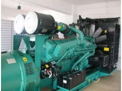 西宁柴油发电机出租和青海发电机组出租图1