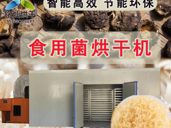 空气能高效烘干除湿机图1