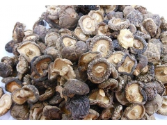 秦岭支脉伏牛山香菇品质好鲜香菇干香菇图1