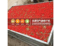 新疆大枣烘干房达到食品标准卫生安全图2