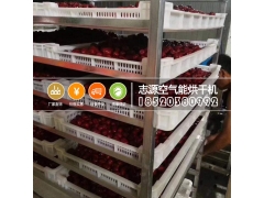 新疆大枣烘干房达到食品标准卫生安全图3