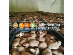 优质香菇烘干机给你不一样的效果图3