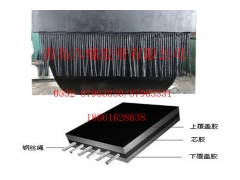 电子秤输送带图3