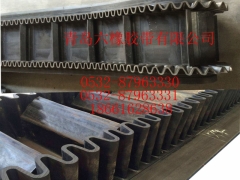 普通帆布输送带图3