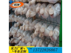 蘑菇出菇架 食用菌培养架 猴头菇出菇网格架 高温灭菌车图1
