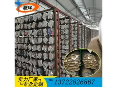 蘑菇出菇架 食用菌培养架 猴头菇出菇网格架 高温灭菌车图2