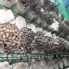 厂家直销蘑菇养殖网格网架 定制各种规格香菇出菇架 食用菌网架