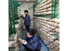 厂家批发食用菌网格培养架蘑菇养殖网格网架平菇出菇架图1