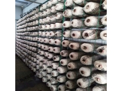 厂家批发食用菌网格培养架蘑菇养殖网格网架平菇出菇架图3