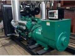 供甘肃武威发电机出租和张掖发电机组租赁图1