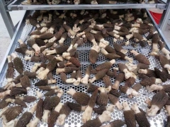 羊肚菌烘干房制造厂家 空气能烘干房 随州远图厂家直销图3