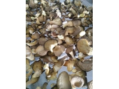 随州香菇烘干机多少钱一台图3