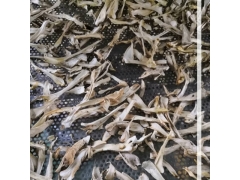 随州远图农业机械供应香菇烘干机，羊肚菌烘干机，茶树菇烘干机图1