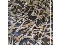 220V小型磨菇烘干机 香菇烘干机 大球盖烘干机图2