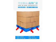 长沙塑料托盘,湘潭塑料托盘,株洲塑料卡板,浏阳塑料地台板图3