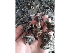 蘑菇烘干机  蘑菇烘干设备  蘑菇烘干机厂家图1