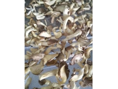 蘑菇烘干机  蘑菇烘干设备  蘑菇烘干机厂家图2