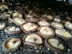 贵州香菇烘干机报价 香菇烘干机厂家图3