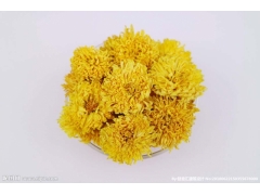 菊花空气能烘干机 菊花箱式烘干机 菊花烘干设备厂家直销图1