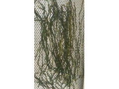 省电的空气能烘干机 让你烘干生活更美好图1