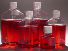 Trypsin重组胰蛋白酶9002-07-7图1