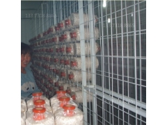 立体式菌类种植网 平菇网片 河南食用菌网架图1