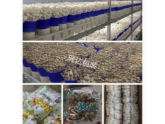 定制防雾袋 透明蔬菜水果防雾袋食品包装袋 生鲜自粘包装袋批发图1