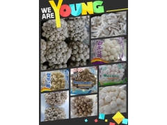 定制防雾袋 透明蔬菜水果防雾袋食品包装袋 生鲜自粘包装袋批发图2